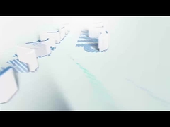 ২০২৫ জলবায়ু বিশ্ব